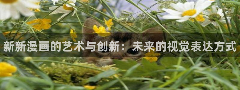漫画下拉式奇漫屋：新新漫画的艺术与创新：未来的视觉表达方式