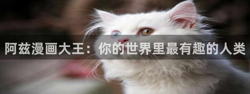 战国千年漫画全集免费下拉式奇漫屋：阿兹漫画大王：你的世界里最有趣的人类